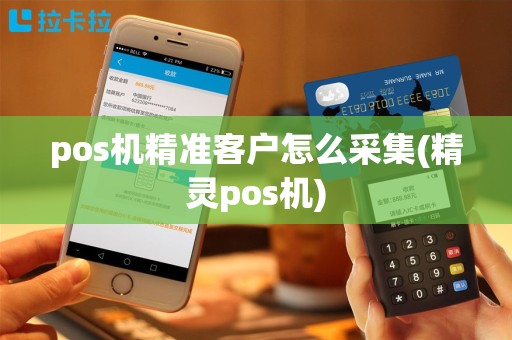 pos机精准客户怎么采集(精灵pos机)