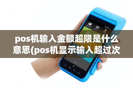 pos机输入金额超限是什么意思(pos机显示输入超过次数)