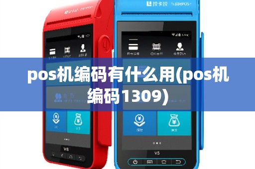pos机编码有什么用(pos机编码1309)