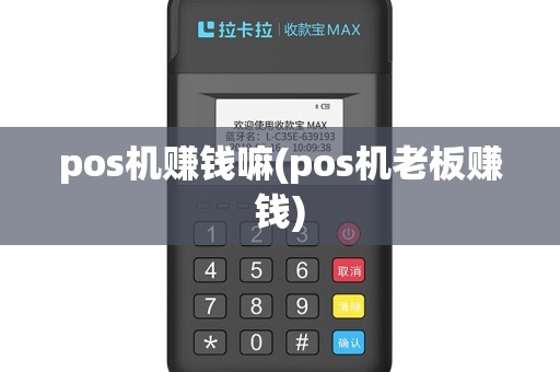pos机赚钱嘛(pos机老板赚钱)