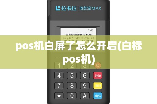 pos机白屏了怎么开启(白标pos机)