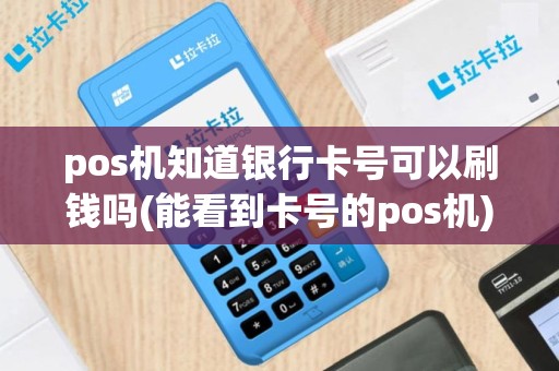 pos机知道银行卡号可以刷钱吗(能看到卡号的pos机)