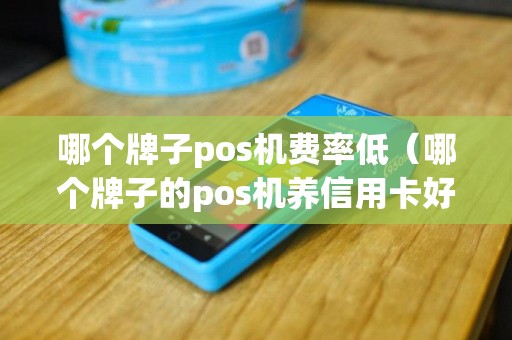 哪个牌子pos机费率低（哪个牌子的pos机养信用卡好）