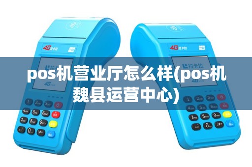 pos机营业厅怎么样(pos机魏县运营中心)
