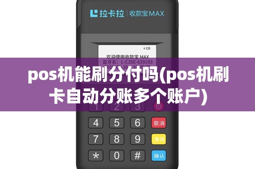 pos机能刷分付吗(pos机刷卡自动分账多个账户)