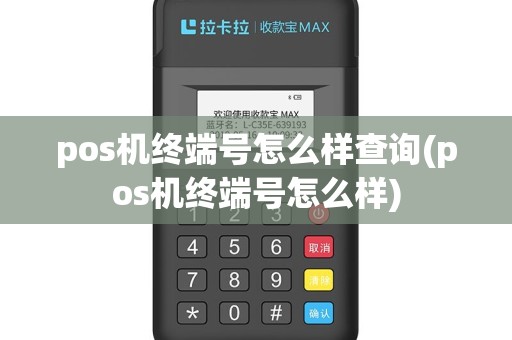pos机终端号怎么样查询(pos机终端号怎么样)