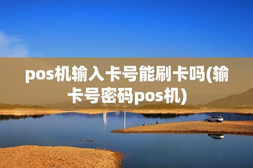 pos机输入卡号能刷卡吗(输卡号密码pos机)