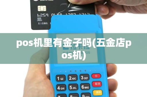 pos机里有金子吗(五金店pos机)