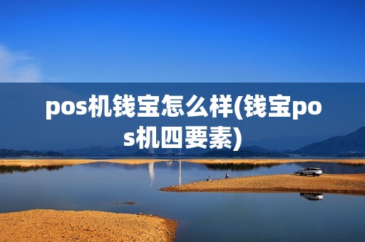 pos机钱宝怎么样(钱宝pos机四要素)