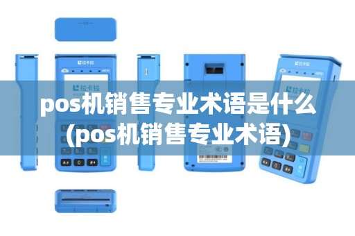 pos机销售专业术语是什么(pos机销售专业术语)