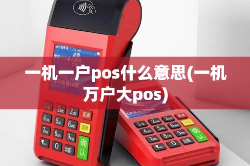 一机一户pos什么意思(一机万户大pos)