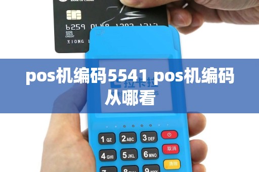 pos机编码5541 pos机编码从哪看