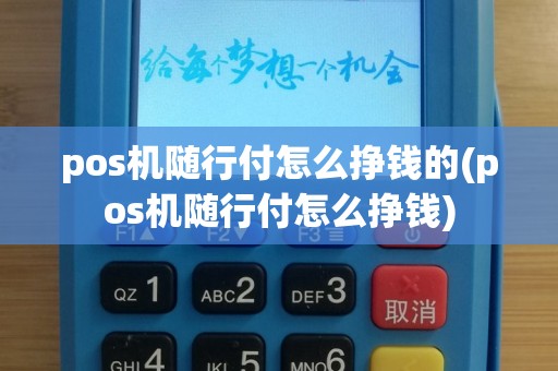 pos机随行付怎么挣钱的(pos机随行付怎么挣钱)