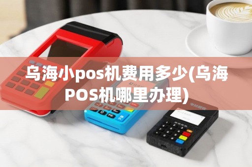 乌海小pos机费用多少(乌海POS机哪里办理)