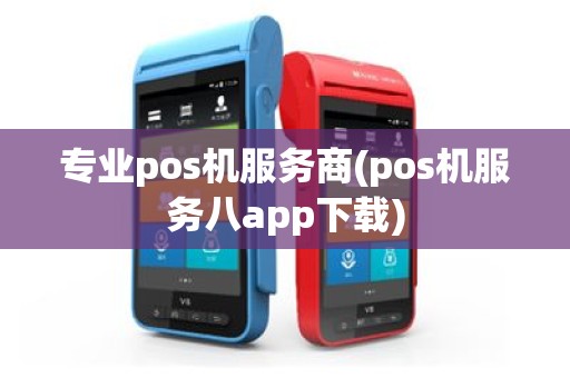 专业pos机服务商(pos机服务八app下载)