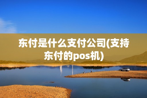东付是什么支付公司(支持东付的pos机)