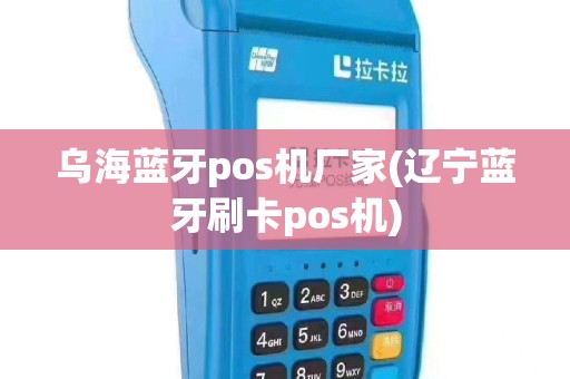 乌海蓝牙pos机厂家(辽宁蓝牙刷卡pos机)