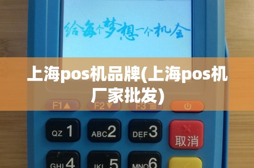上海pos机品牌(上海pos机厂家批发)