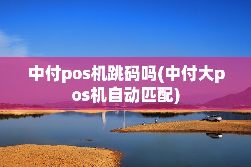 中付pos机跳码吗(中付大pos机自动匹配)