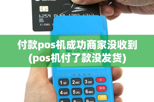 付款pos机成功商家没收到(pos机付了款没发货)
