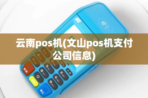 云南pos机(文山pos机支付公司信息)