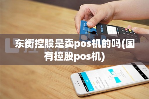 东衡控股是卖pos机的吗(国有控股pos机)