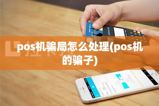pos机骗局怎么处理(pos机的骗子)