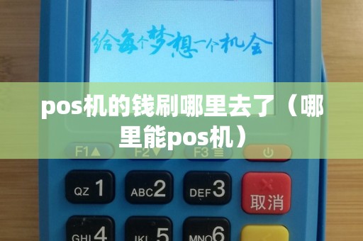 pos机的钱刷哪里去了（哪里能pos机）