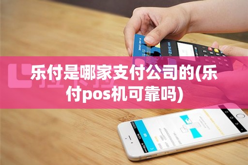 乐付是哪家支付公司的(乐付pos机可靠吗)