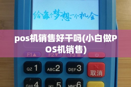 pos机销售好干吗(小白做POS机销售)