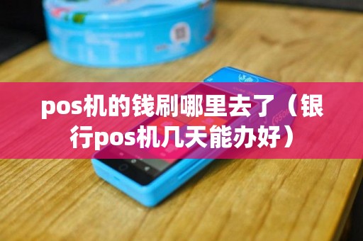 pos机的钱刷哪里去了（银行pos机几天能办好）