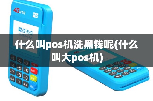 什么叫pos机洗黑钱呢(什么叫大pos机)