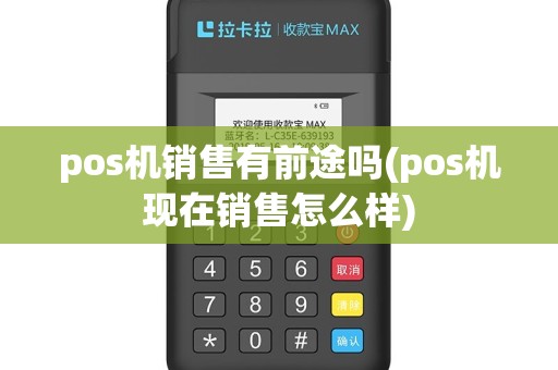 pos机销售有前途吗(pos机现在销售怎么样)
