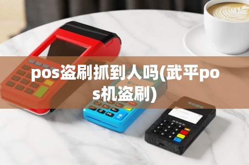 pos盗刷抓到人吗(武平pos机盗刷)