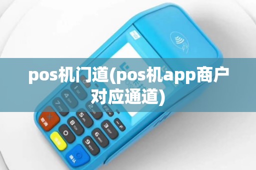 pos机门道(pos机app商户对应通道)