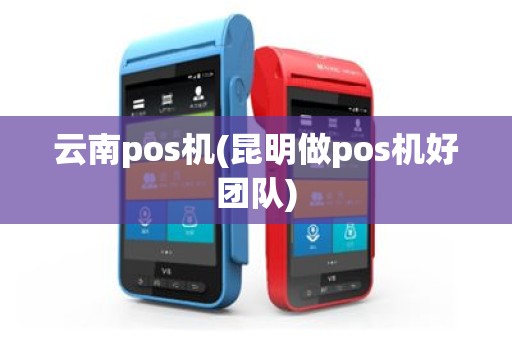 云南pos机(昆明做pos机好团队)