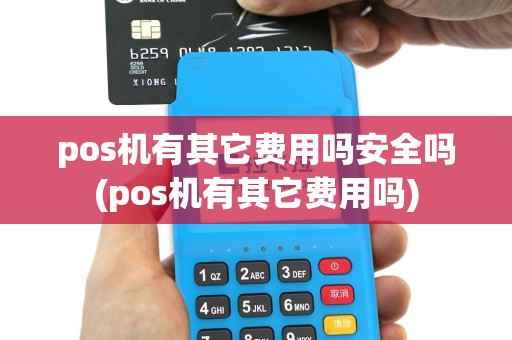 pos机有其它费用吗安全吗(pos机有其它费用吗)