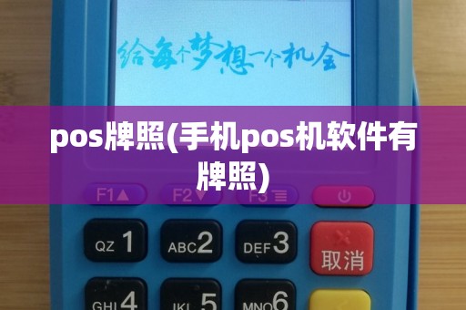pos牌照(手机pos机软件有牌照)