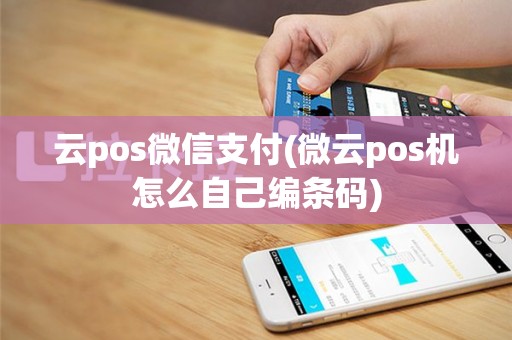 云pos微信支付(微云pos机怎么自己编条码)