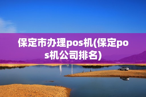 保定市办理pos机(保定pos机公司排名)