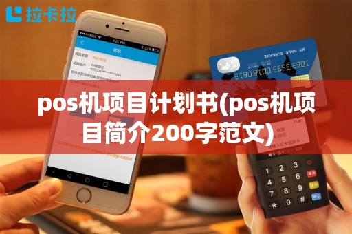 pos机项目计划书(pos机项目简介200字范文)