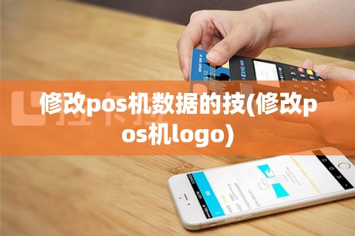 修改pos机数据的技(修改pos机logo)