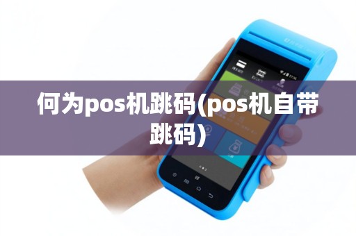 何为pos机跳码(pos机自带跳码)
