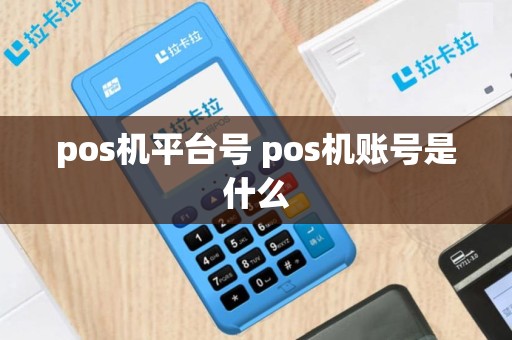 pos机平台号 pos机账号是什么