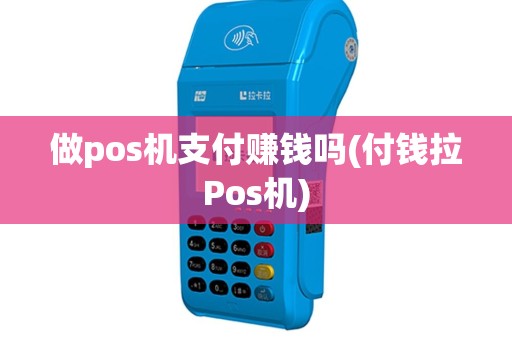 做pos机支付赚钱吗(付钱拉Pos机)
