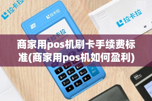 商家用pos机刷卡手续费标准(商家用pos机如何盈利)