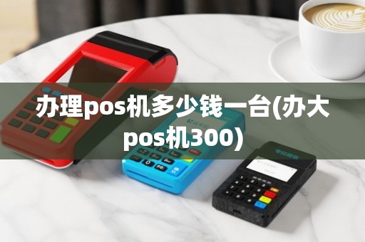 办理pos机多少钱一台(办大pos机300)