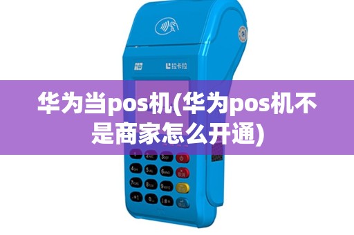 华为当pos机(华为pos机不是商家怎么开通)