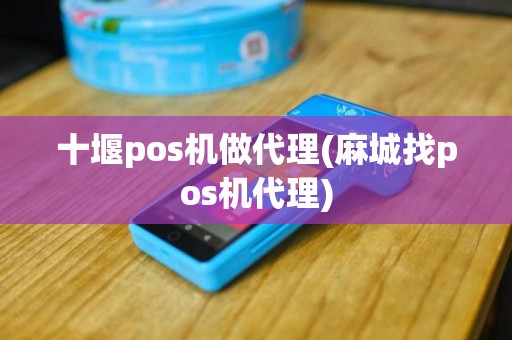 十堰pos机做代理(麻城找pos机代理)