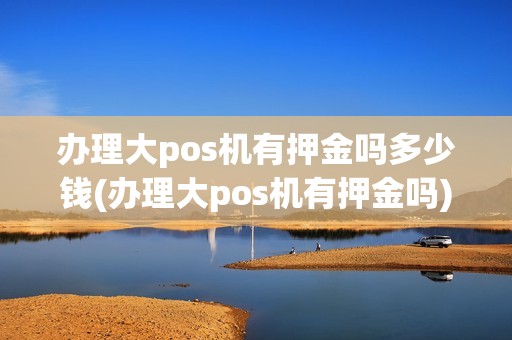 办理大pos机有押金吗多少钱(办理大pos机有押金吗)